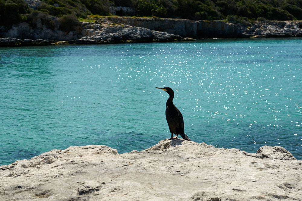 Cala Blanca, Menorca
