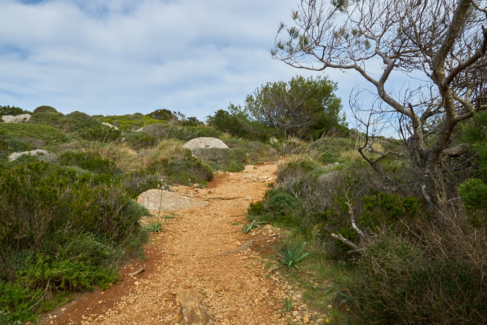 Arenal de Son Saura, Menorca