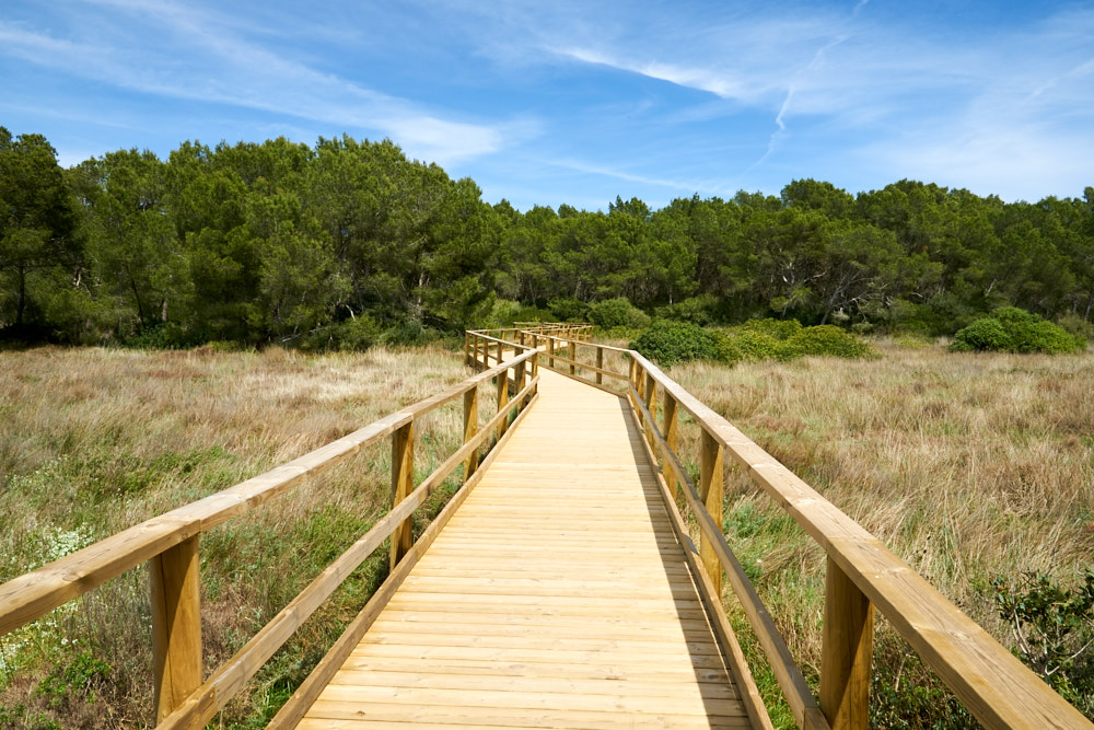 Albufera des Grau, Menorca