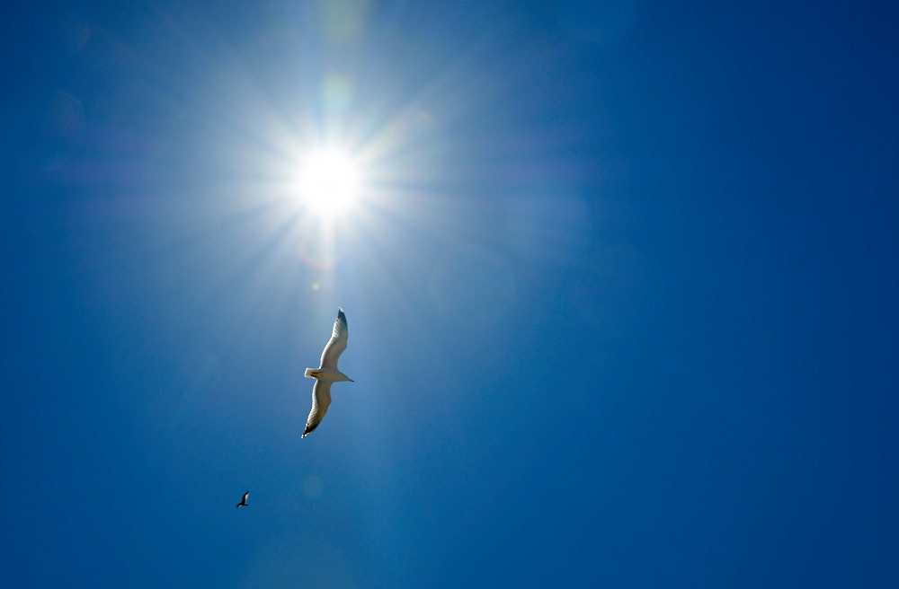 Praia de Marinha, Portugal