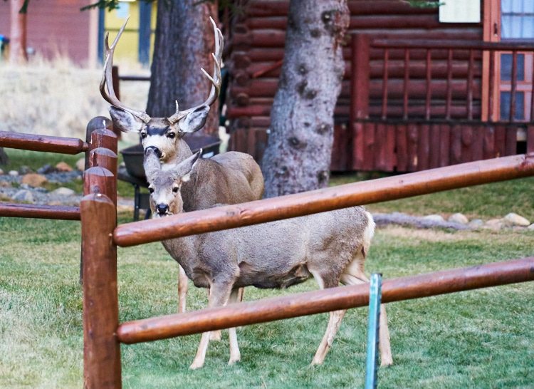 Denver, Colorado