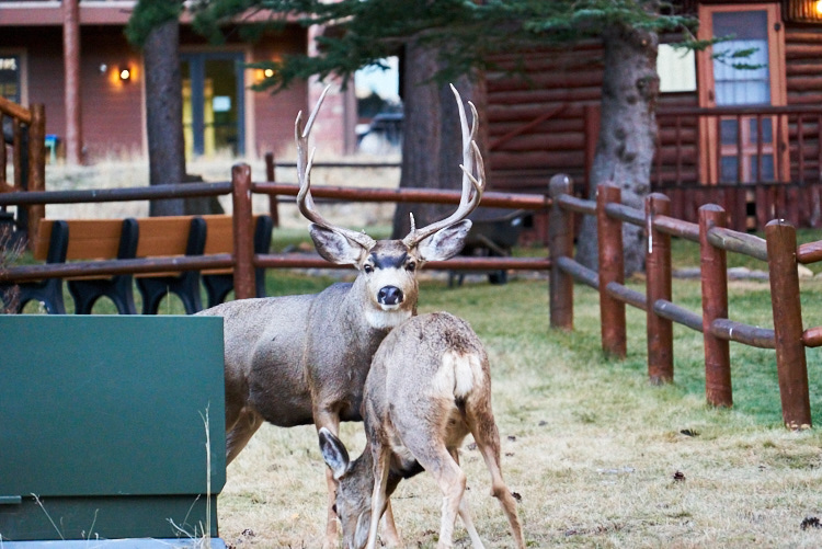 Denver, Colorado