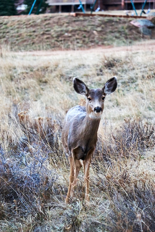 Denver, Colorado