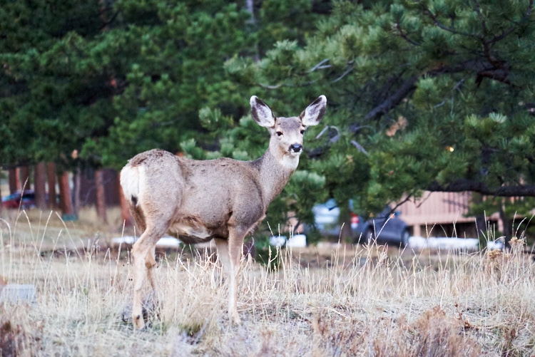 Denver, Colorado