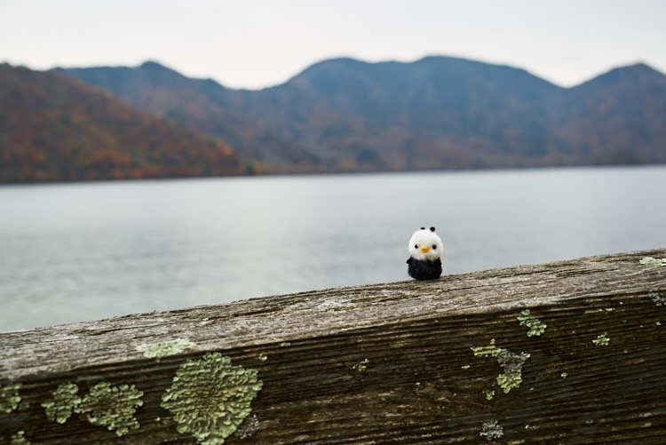 Nikko, Japan