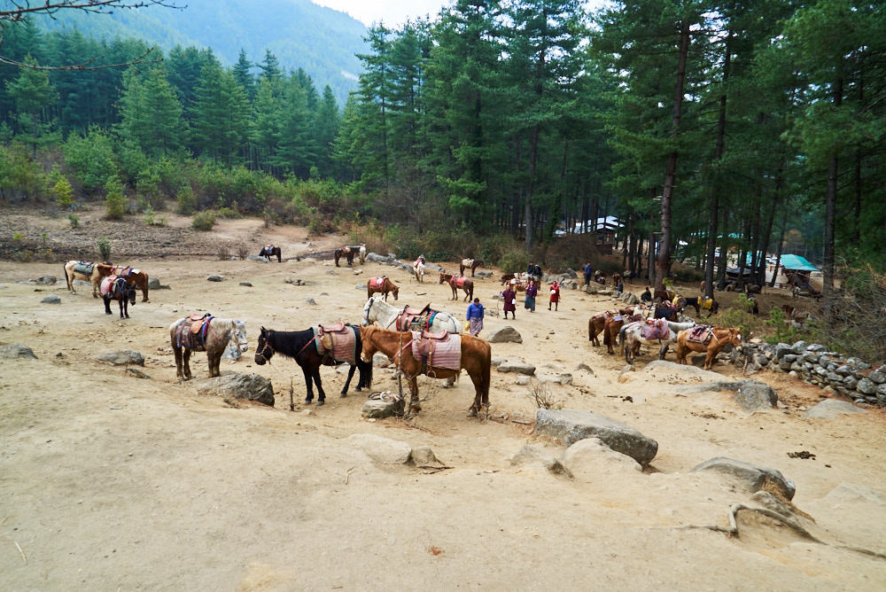 Taktsang, Bhutan